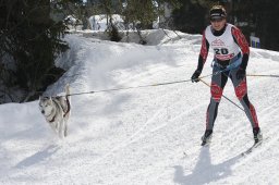 San Bernardino 2011